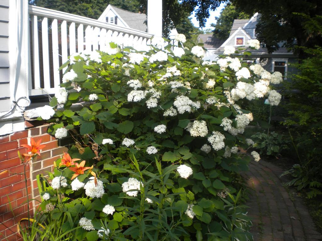Fleetwood House Bed And Breakfast 포틀랜드 외부 사진